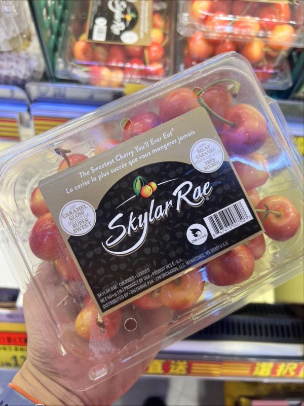 [甘甜濃郁][450g嚐鮮盒]美國華盛頓空運Skylar Rae草莓白櫻桃 美國華盛頓空運北極熊櫻桃原裝箱