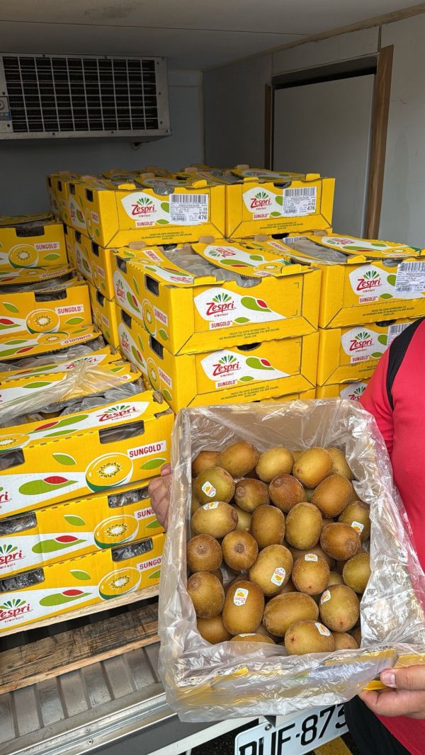 [營養滿滿][優惠原裝箱]Zespri紐西蘭黃金奇異果 Zespri SunGold Zespri紐西蘭黃金奇異果,Zespri SunGold,金奇異果,維他命C,維生素C,健康水果