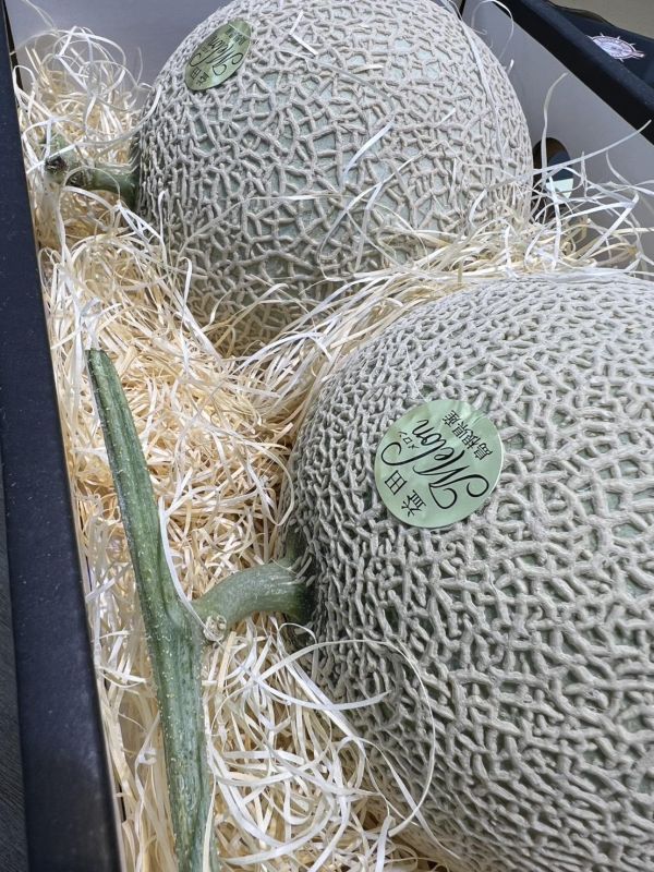 [甘甜濃郁]日本島根縣青肉哈密瓜禮盒 哈密瓜