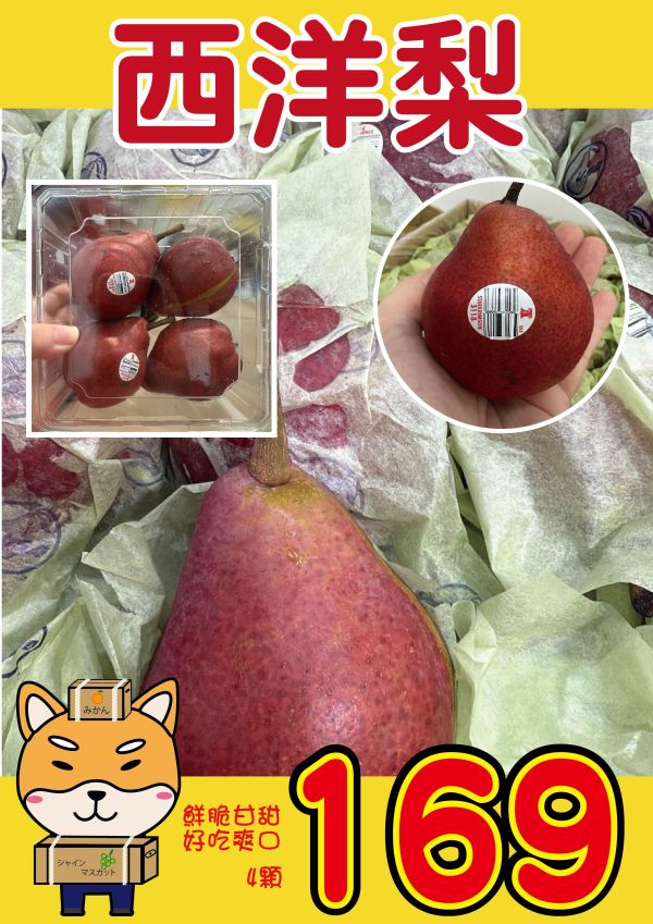 [清甜爽脆稍放更香甜]西洋梨 西洋梨