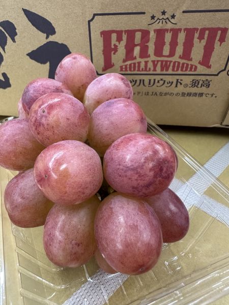 [極致甘甜]日本長野妃紅提葡萄嚐鮮盒 クイーンルージュ 日本麝香,麝香葡萄,シャインマスカット,妃紅提葡萄,クイーンルージュ,無籽葡萄,日本葡萄,紅葡萄