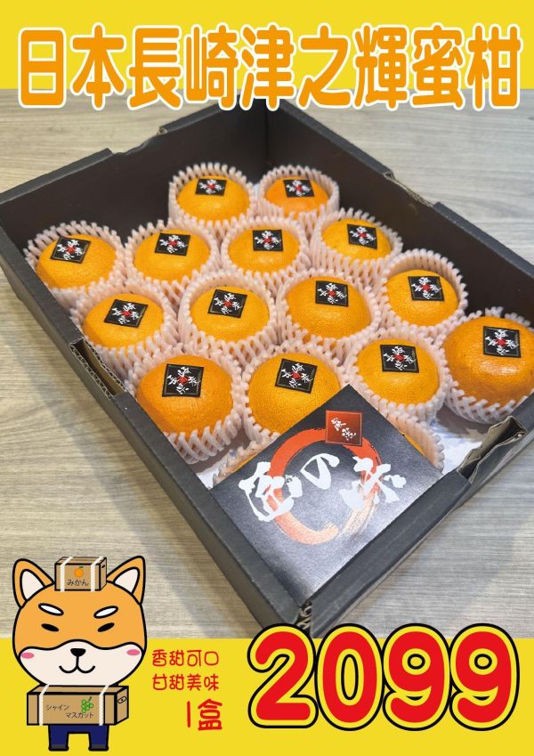 [甘甜細緻香氣極佳][禮盒式]日本長崎津之輝蜜柑 津之輝 つのかがやき 西海蜜柑,日本蜜柑,日本小橘子,無核橘,長崎蜜柑,津之輝蜜柑