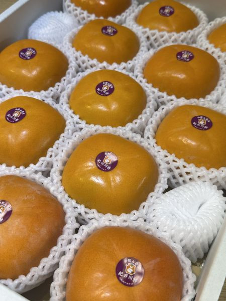甘甜濃郁當季最佳]日本和歌山黑糖柿黑糖蜜柿黑芝麻柿紀之里柿黒あま柿