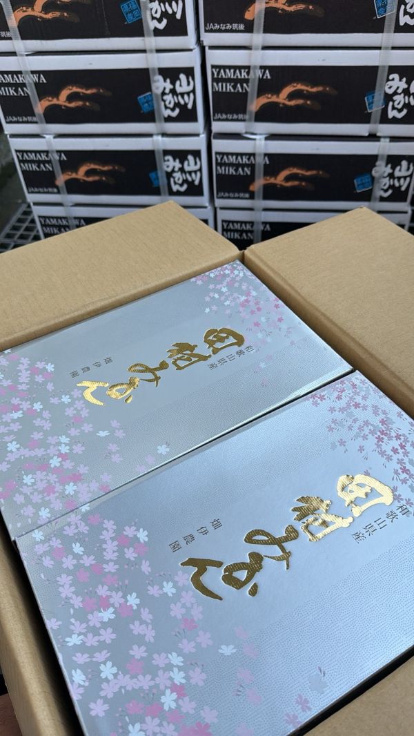 [甘甜多汁香氣十足][禮盒]日本和歌山櫻花銀田村蜜柑禮盒 日本和歌山櫻花銀田村蜜柑禮盒