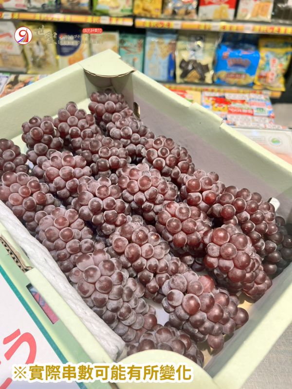 [香甜微酸無籽水潤][整箱禮盒]日本山梨香檳珍珠葡萄 德拉瓦葡萄 デラウェア 日本山梨香檳珍珠葡萄,德拉瓦葡萄,デラウェア,麝香葡萄,貓眼葡萄
