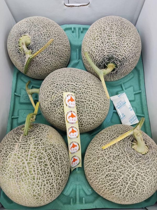 [甘甜濃郁世界知名]日本北海道赤肉苫前哈密瓜 北海道哈密瓜