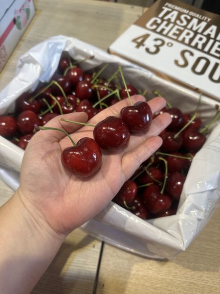 [甘甜濃郁幾乎不酸]澳洲空運塔斯馬尼亞43度C櫻桃 澳洲空運塔斯馬尼亞43度C櫻桃