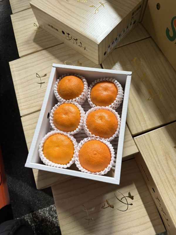 [甘甜香氣十足]日本香川明日見阿蘇蜜柑 日本香川明日見阿蘇蜜柑