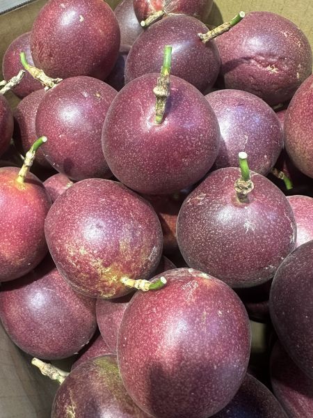 [經典風味]南投埔里熱情果 百香果 [濃郁香甜新品種]熱情果