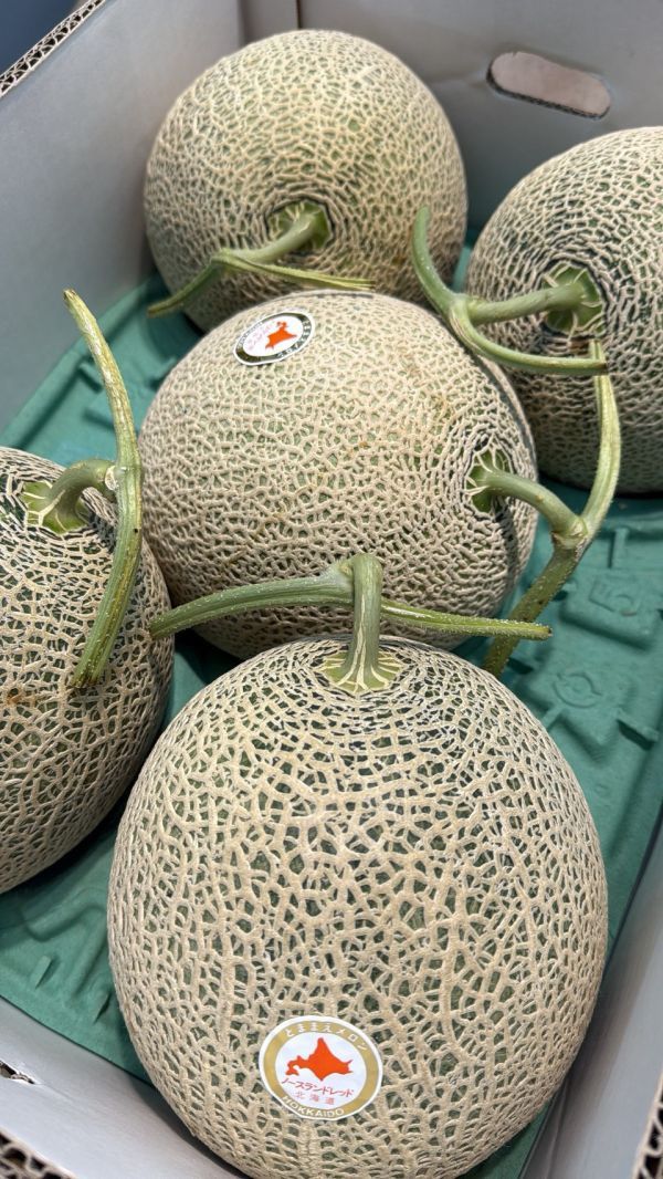[綿軟香甜風味濃郁]日本北海道赤肉哈密瓜 とままえメロン 