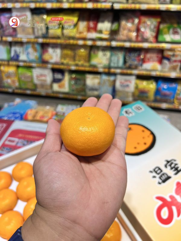 [無籽皮薄香甜多汁][大禮盒式]日本和歌山花茂園溫室蜜柑 花茂園温室みかん 和歌山蜜柑,日本小橘子,日本蜜柑,溫室蜜柑,有田,佐賀蜜柑, 福岡蜜柑,北原早生,きたはらわせ,山川蜜柑