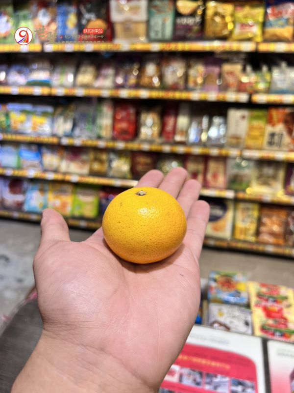 [易剝甜酸清爽]南非砂糖橘 Mini Mandarin 砂糖橘,南非砂糖橘,Mini Mandarin