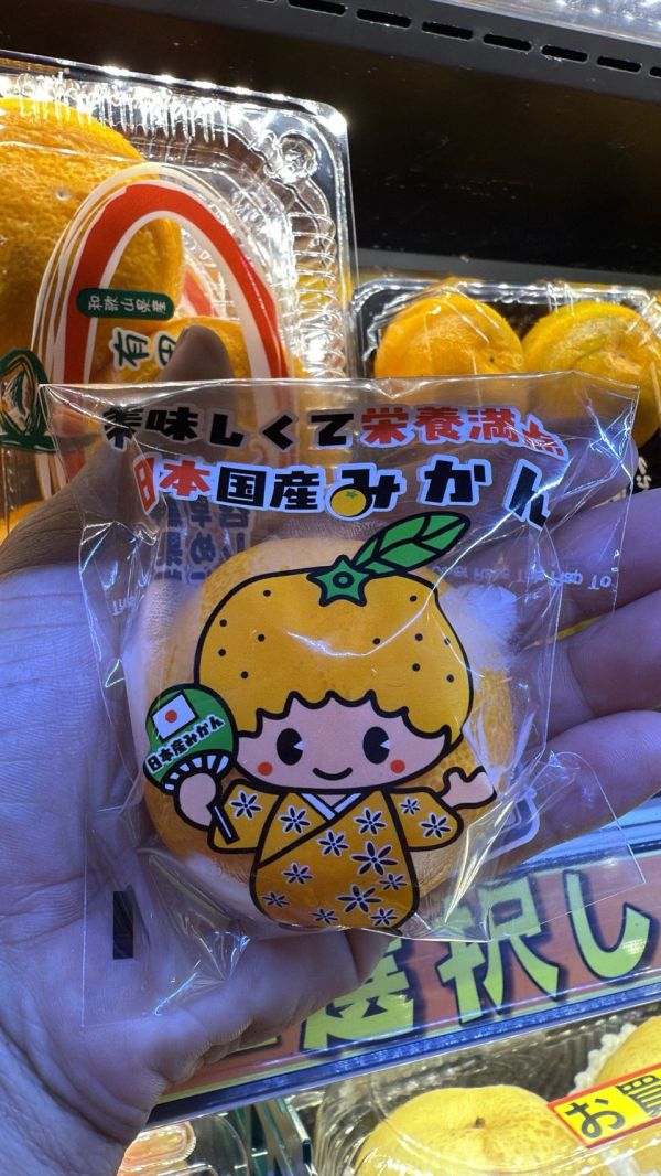 [甘甜多汁香氣十足][單顆]日本愛媛蜜柑 愛媛温室みかん 日本愛媛蜜柑家庭號