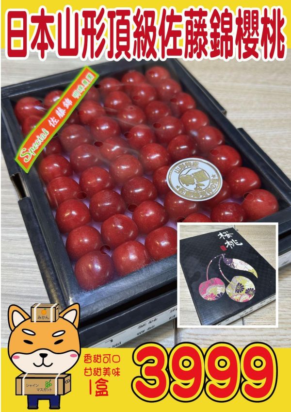[日本頂級甘甜濃郁]日本山形佐藤錦櫻桃 日本山形佐藤錦櫻桃