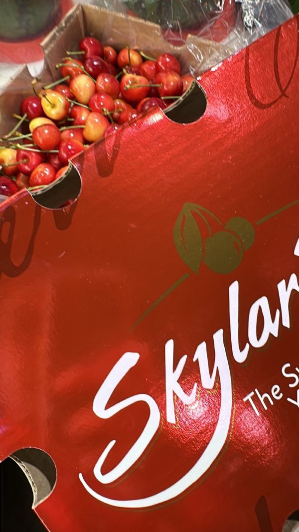 [甜酸濃郁]智利空運SKYLAR RAE草莓白櫻桃 智利空運SKYLAR RAE草莓白櫻桃