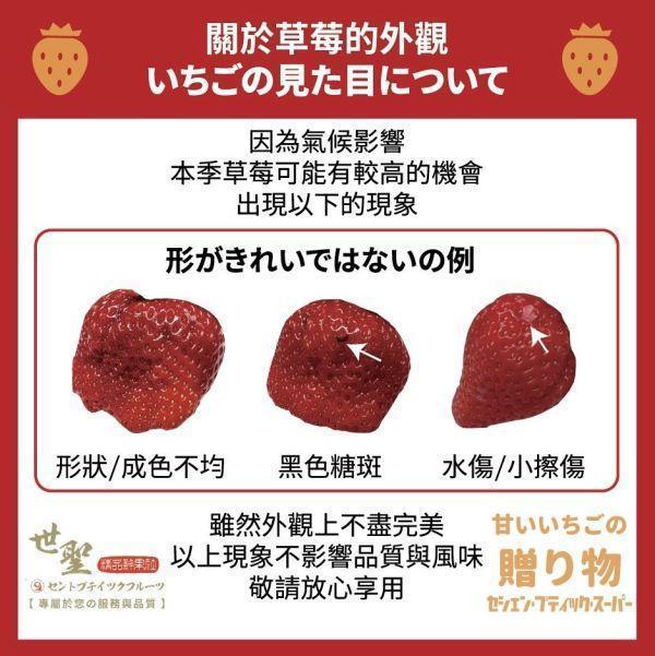 日本藍盒古都華草莓 日本藍盒古都華草莓