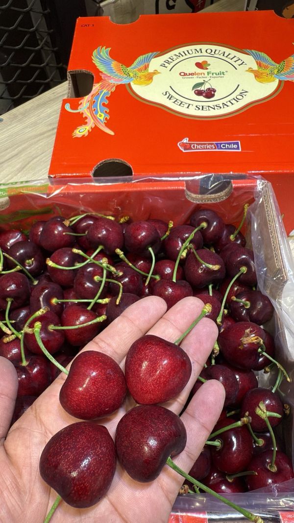 [甜酸濃郁]智利空運櫻桃巨大顆 智利空運櫻桃
