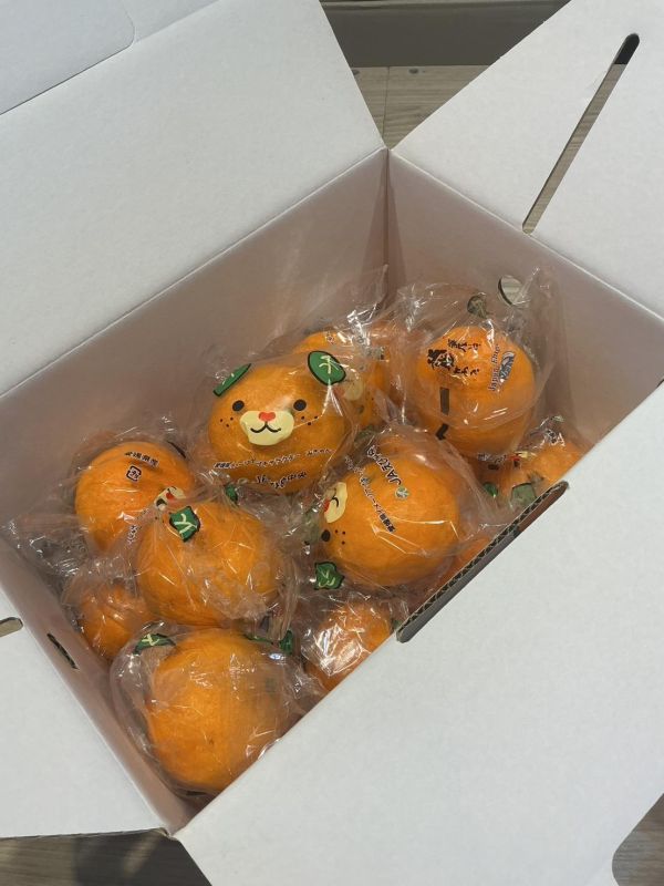 [甘甜濃郁 香甜可口]日本愛媛狗狗橙柑2KG 日本愛媛狗狗橙柑2KG