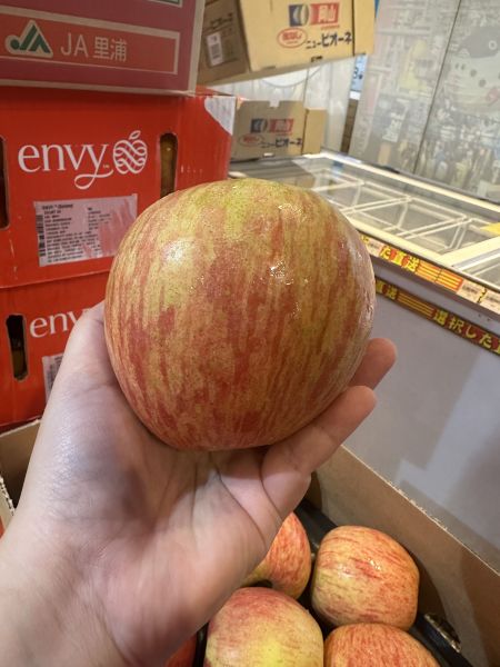 [甜酸均衡質感爽脆][整箱裝]智利巨大陽光富士蘋果 Fuji 智利蘋果,富士蘋果,脆蘋果