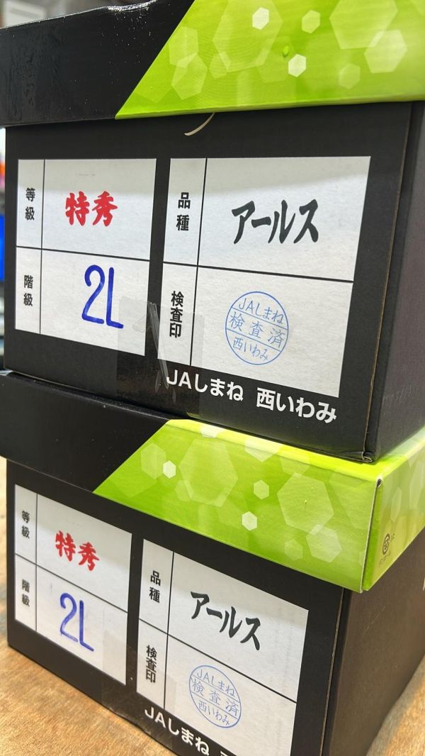 [甘甜濃郁]日本島根縣青肉哈密瓜禮盒 哈密瓜