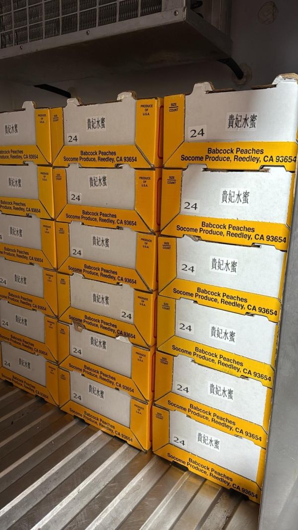 [甘甜濃郁 香甜可口]美國空運壽康水蜜桃原裝箱 美國空運水蜜桃禮盒