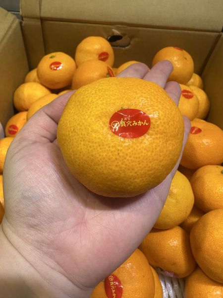 [甘甜多汁香氣十足][禮盒]日本愛媛真穴頂級柑5kg 日本愛媛真穴頂級柑5kg