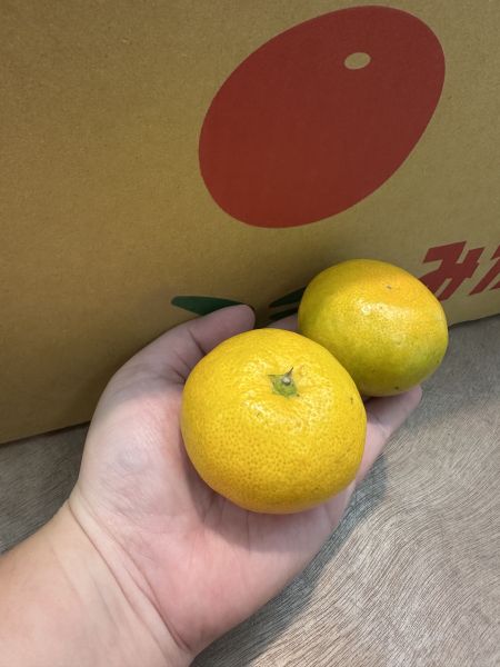 [無籽皮薄香甜多汁]日本和歌山蜜柑嚐鮮盒 日本和歌山蜜柑嚐鮮盒