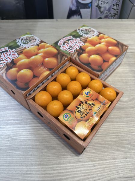 [清甜爽口香氣絕佳]日本鹿兒島排排站金柑禮盒 金桔 日本鹿兒島排排站金柑禮盒