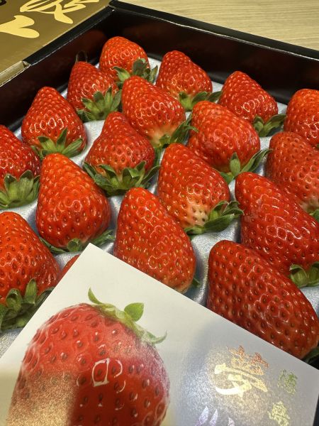 [糖蜜草莓甜如蜜]日本阿波莓紅臉頰草莓 日本阿波莓紅臉頰草莓