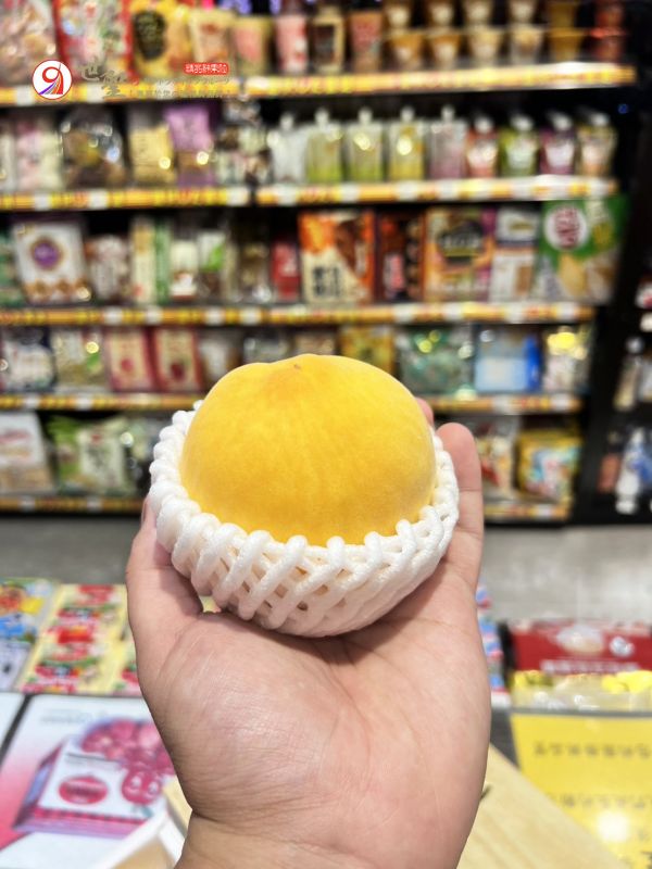 [芒果香氣極致甘甜]日本山梨溫室一桃匠黃金桃水蜜桃 黄金桃 おうごんとう 山梨温室桃 黃桃 米倉金桃 日本山梨水蜜桃,もも,モモ,白鳳,川中島,なつっこ,日川,夏子,室外桃,黃金桃,黃色水蜜桃,黃美娘