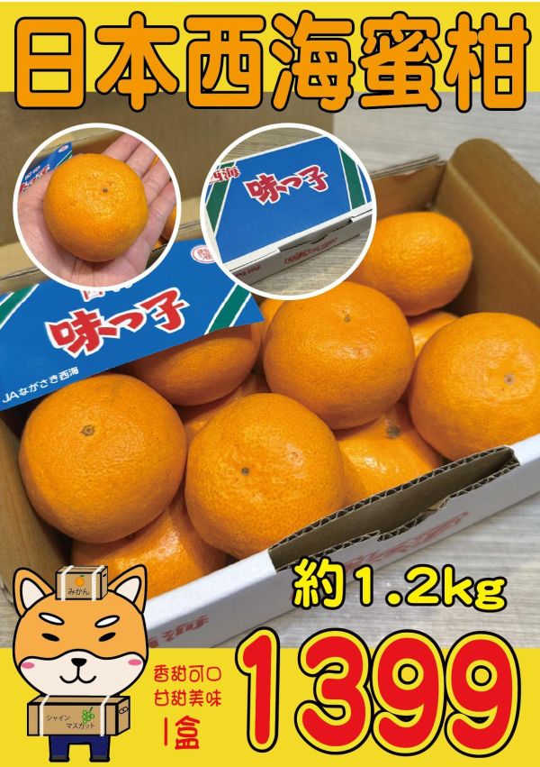 [甘甜香氣十足]日本西海蜜柑 日本西海蜜柑