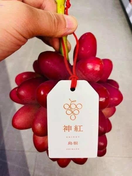 (有獨特花果香氣)日本島根神紅葡萄 