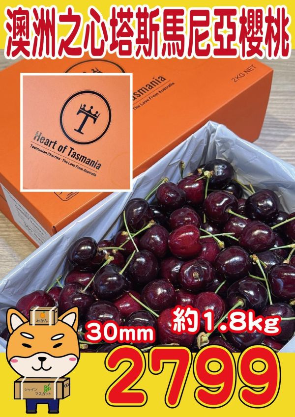 [甘甜濃郁幾乎不酸]澳洲之心塔斯馬尼亞金袋鼠櫻桃 澳洲之心塔斯馬尼亞金袋鼠櫻桃