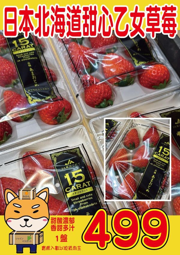 [馨香甘甜]日本北海道甜心乙女草莓 日本北海道甜心乙女草莓