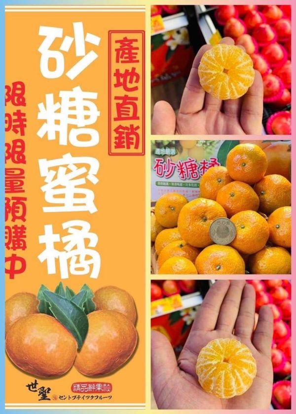 [每年必嚐甘甜濃郁][預購中]苗栗苑裡森林秘境砂糖蜜橘 台灣砂糖橘,砂糖橘,橘子