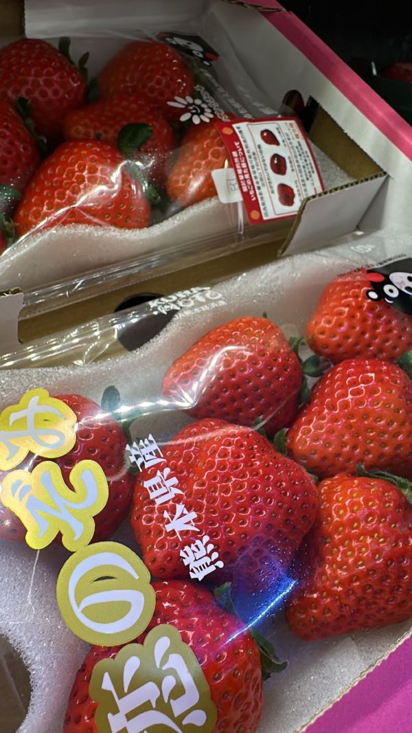 日本熊本草莓1盒2盤入 熊本産いちご ゆうべに 恋みのり ひのしずく 日本草莓,熊本草莓,いちご