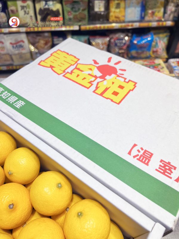 [清甜爽口檸檬香氣][整箱裝]日本高知黃金柑 黄金柑 おうごんかん 鹿兒島黃金柑,貴婦人柑,貴夫人,高知黃金柑
