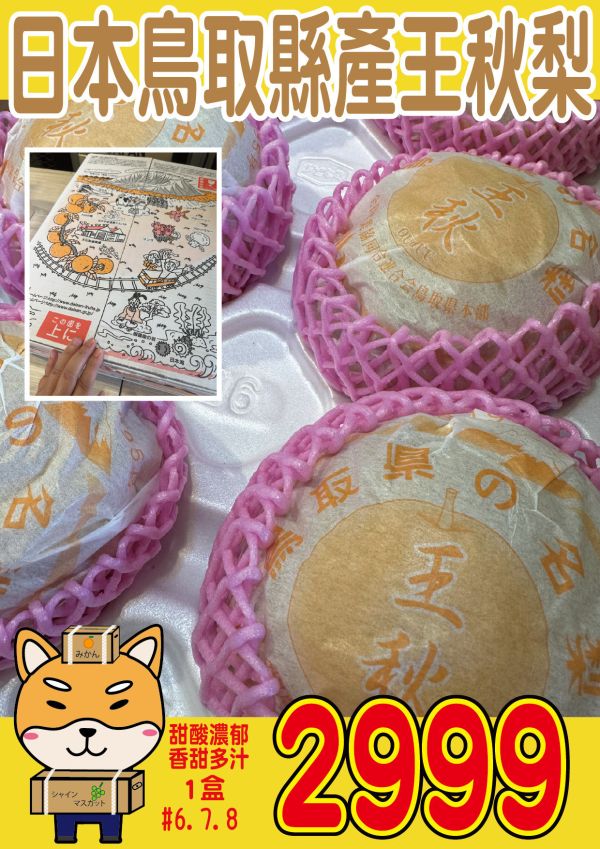 [爽脆多汁份量十足]日本鳥取縣產王秋梨 日本鳥取縣產王秋梨