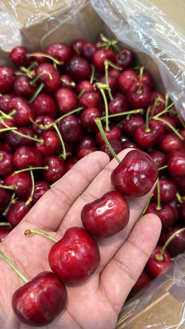 [甜酸濃郁]智利空運櫻桃 智利空運櫻桃