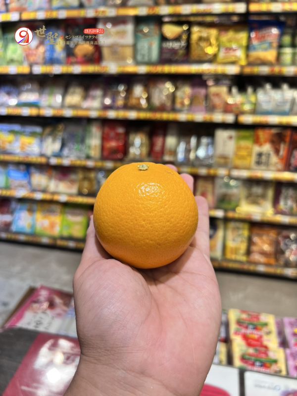 [甜美多汁香氣十足]澳洲高糖度肚臍丁 Navel Orange 香吉士 無籽肚丁 香吉士,肚臍丁,無籽肚丁,柳橙,柳丁,壽康香橘