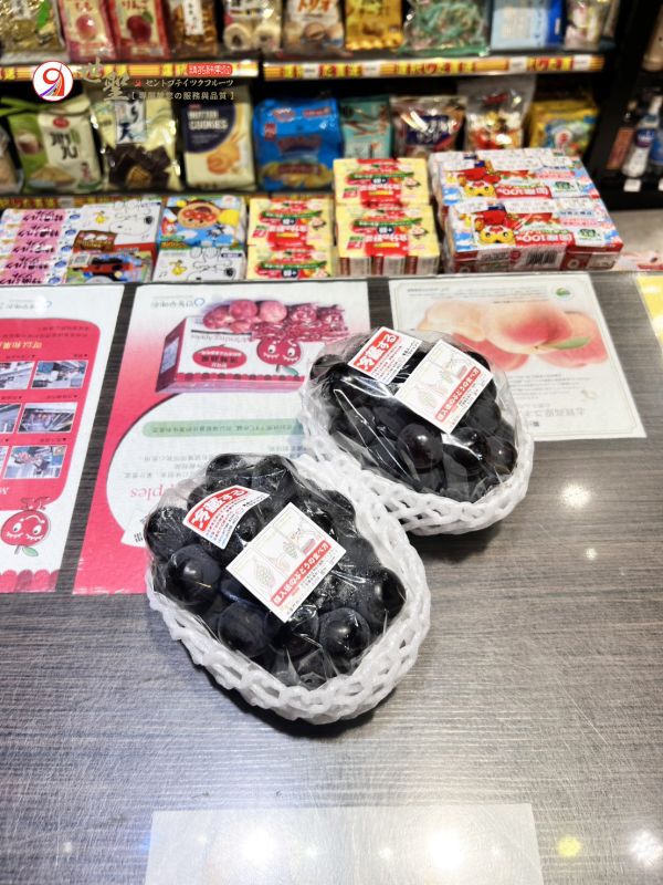 [甘甜不膩醇厚香氣][可加購禮盒]日本福岡溫室博多貓眼葡萄 博多ピオーネ 日本麝香,麝香葡萄,巨峰葡萄,黑葡萄,無籽葡萄,日本葡萄,貓眼葡萄