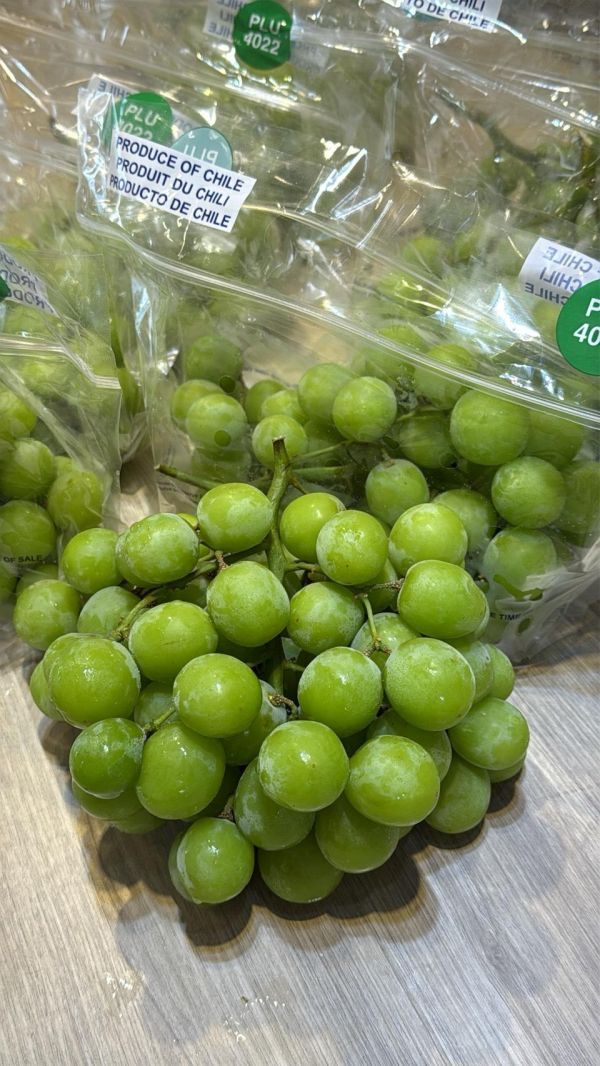 [清爽甘甜香氣特別]智利秋脆綠無籽葡萄 智利秋脆綠無籽葡萄