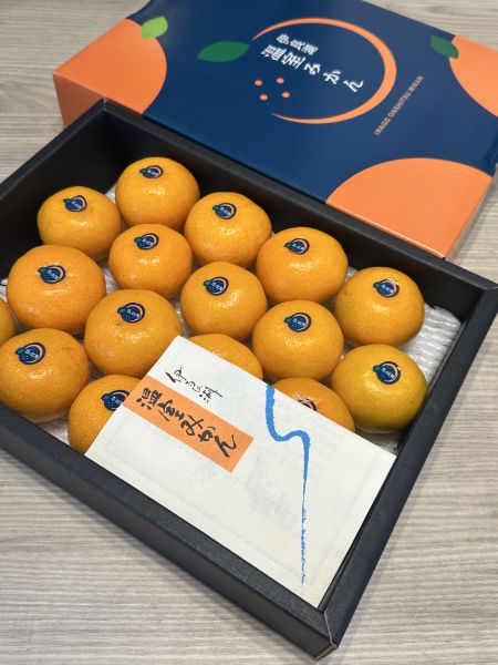 [無籽皮薄香甜多汁]日本愛知縣伊良湖溫室蜜柑 日本愛知縣伊良湖溫室蜜柑