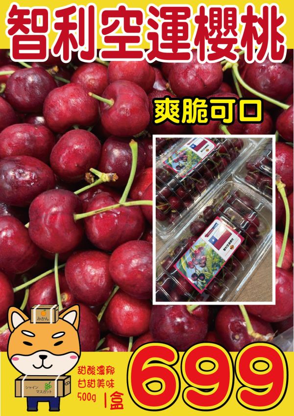 [甜酸濃郁]智利空運櫻桃 智利空運櫻桃