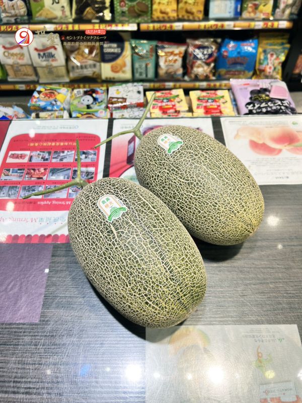 [脆口甘甜極緻之選][可加購禮盒]嘉義水上極光橘肉哈密瓜 極光卡蜜拉 歐若拉哈密瓜 橘肉哈密瓜,台灣哈密瓜,卡蜜拉,溫室哈密瓜,洋香瓜,網紋哈密瓜