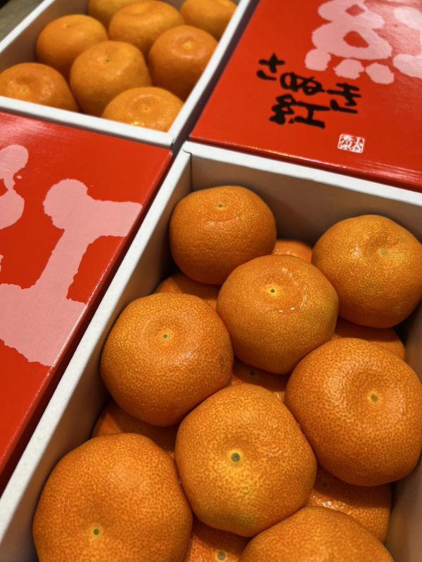 [清甜爽口香氣][禮盒式]日本香川縣小原紅蜜柑 蜜柑