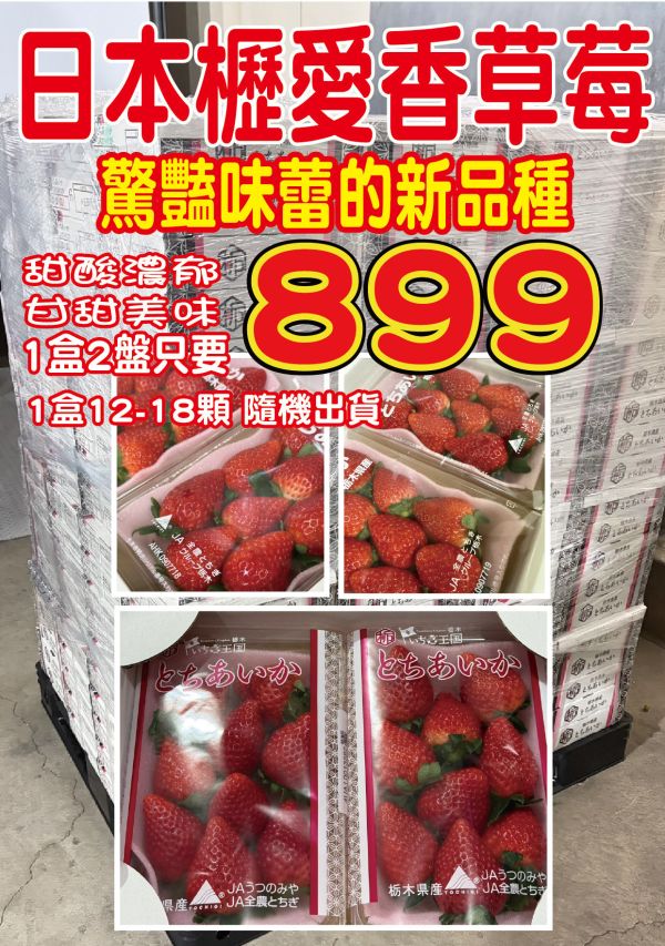 [甘甜香氣十足]日本櫪愛香草莓 日本櫪愛香草莓