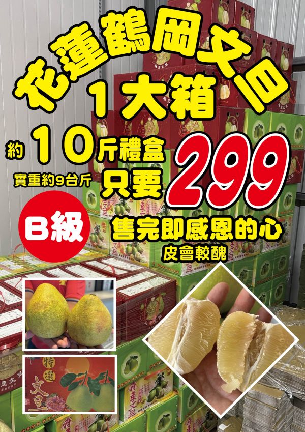 [香氣十足甘甜味濃]花蓮鶴岡B級老欉文旦 柚子 特A級文旦,柚子,老欉