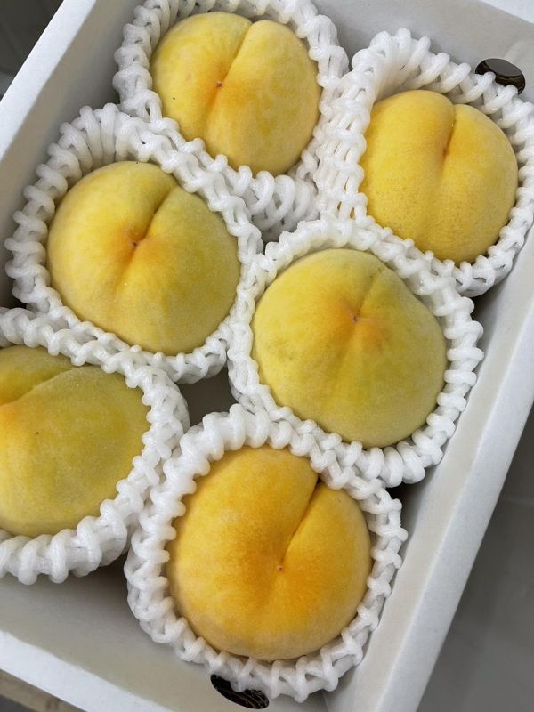 [金黃外表風味特別]日本山梨溫室黃金水蜜桃 黃金桃 日本山梨一桃匠頂級溫室水蜜桃