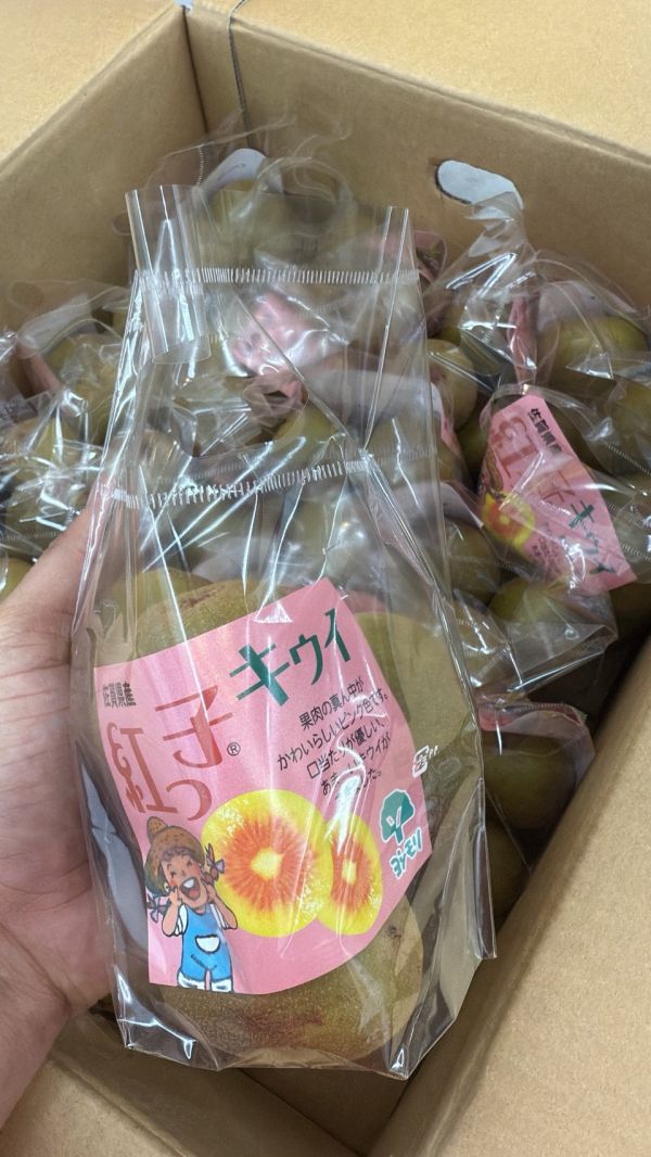 [營養滿滿]佐賀紅心奇異果 佐賀紅心奇異果